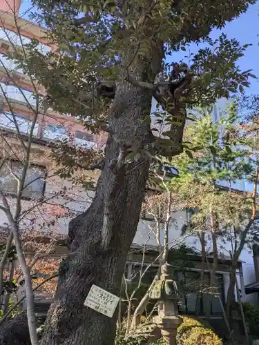 願行寺(東京都)