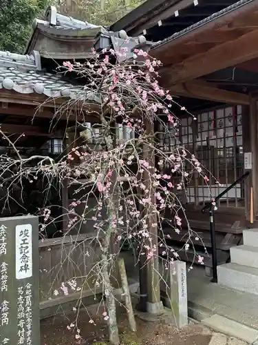 都美恵神社の自然