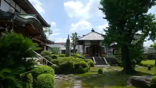 単伝庵の本殿・本堂