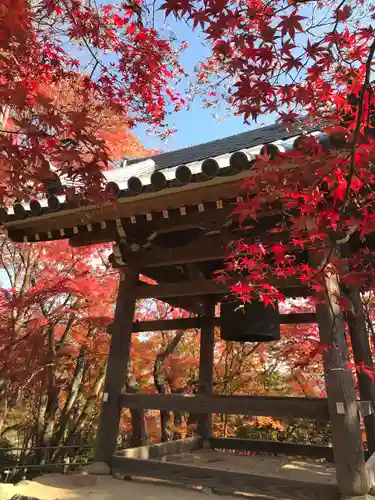 常寂光寺(京都府)