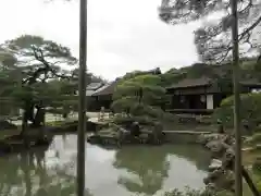 慈照寺（慈照禅寺・銀閣寺）(京都府)