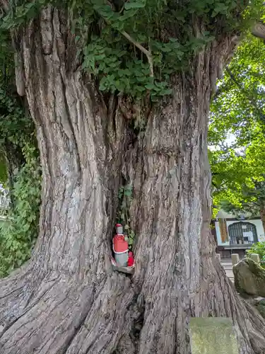 飛騨国分寺(岐阜県)
