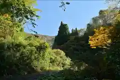 髙龍神社 中社(新潟県)