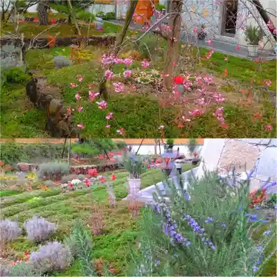 寿量山 速成寺(奈良県)