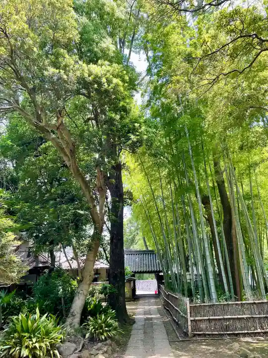 妙福寺(東京都)