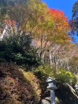 秋葉山本宮 秋葉神社 上社(静岡県)