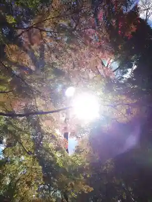 乃木神社(栃木県)