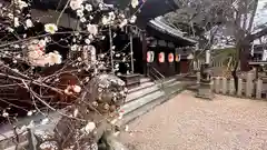 池坐朝霧黄幡比賣神社(奈良県)