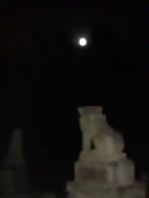 伏木香取神社の狛犬