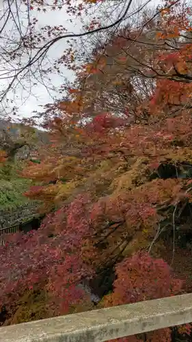 服部神社(京都府)