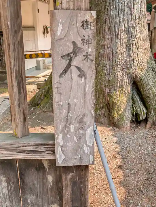 伊和神社の{uncategorized: "未分類", other: "その他", undefined: "問題あり", building: "その他建物", grave: "お墓", sacred_gate: "鳥居", guardian: "狛犬", statue: "像", buddha: "仏像", history: "歴史", nature: "自然", garden: "庭園", animal: "動物", pagoda: "塔", temizu: "手水舎", mountain_gate: "山門・神門", sanctuary: "本殿・本堂", subordinate: "末社・摂社", art: "芸術", scenery: "景色", jizo: "地蔵", ema: "絵馬", goshuin: "御朱印", omikuji: "おみくじ", items: "授与品その他", amulet: "お守り", goshuincho: "御朱印帳", eats: "食事", festival: "お祭り", votive_dance: "神楽", shichigosan: "七五三参", wedding: "結婚式", experience: "体験その他", initially: "初詣", around: "周辺", anti_infection: "感染症対策"}