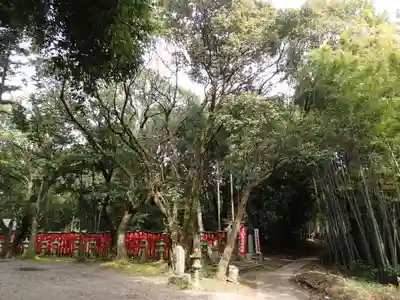 平尾姫丸稲荷大明神の自然