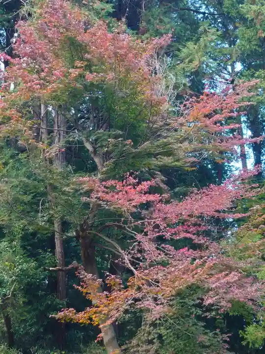 舞岡八幡宮(神奈川県)