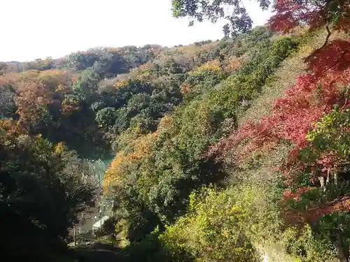 半僧坊大権現の景色