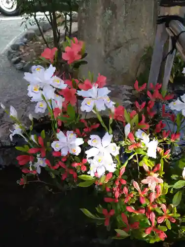 阿智神社の手水