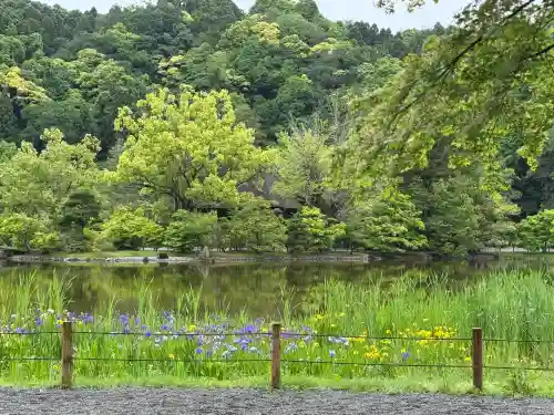 白水阿弥陀堂の庭園