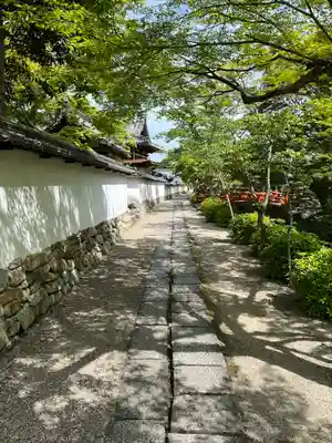 金剛寺(大阪府)