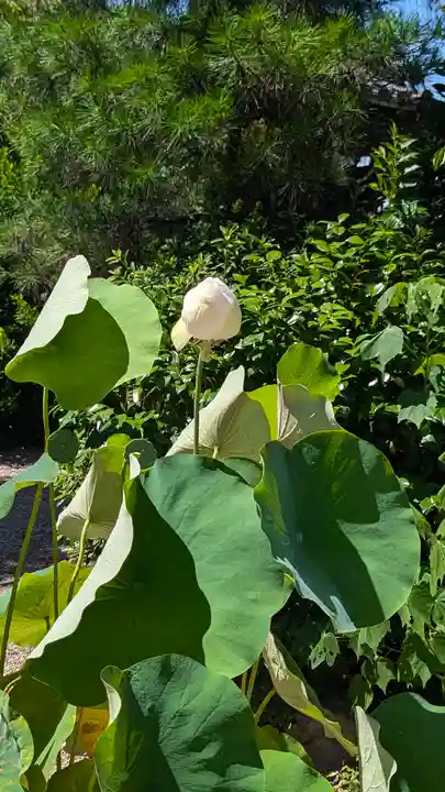 後白河院御聖蹟 法住寺(京都府)