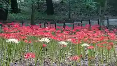 高幡不動尊　金剛寺の庭園