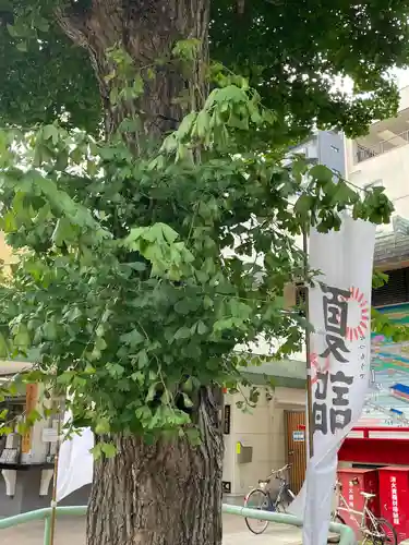 矢先稲荷神社(東京都)
