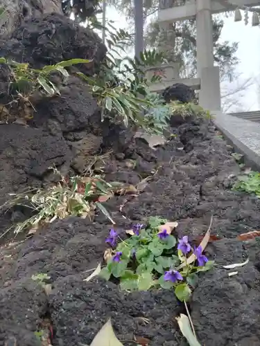 居木神社の自然