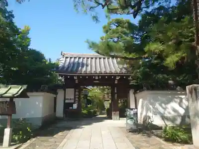 妙心寺（妙心禅寺）(京都府)