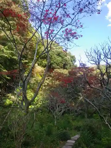 瑞泉寺の庭園