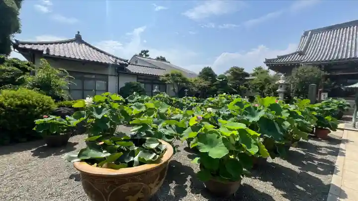 要法寺(神奈川県)