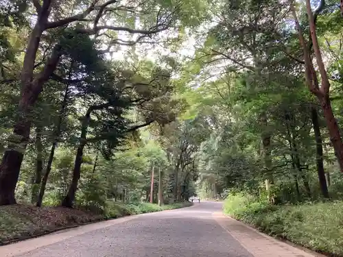 明治神宮(東京都)