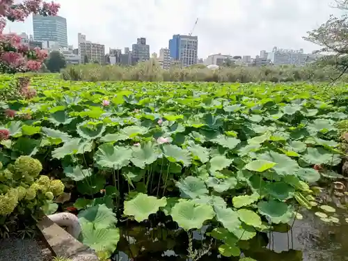 寛永寺不忍池弁天堂(東京都)
