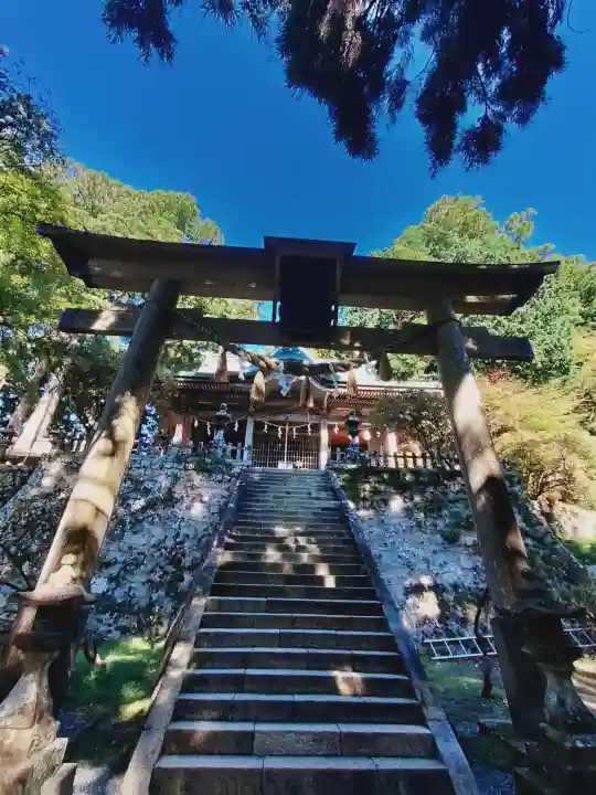 玉置神社の{uncategorized: "未分類", other: "その他", undefined: "問題あり", building: "その他建物", grave: "お墓", sacred_gate: "鳥居", guardian: "狛犬", statue: "像", buddha: "仏像", history: "歴史", nature: "自然", garden: "庭園", animal: "動物", pagoda: "塔", temizu: "手水舎", mountain_gate: "山門・神門", sanctuary: "本殿・本堂", subordinate: "末社・摂社", art: "芸術", scenery: "景色", jizo: "地蔵", ema: "絵馬", goshuin: "御朱印", omikuji: "おみくじ", items: "授与品その他", amulet: "お守り", goshuincho: "御朱印帳", eats: "食事", festival: "お祭り", votive_dance: "神楽", shichigosan: "七五三参", wedding: "結婚式", experience: "体験その他", initially: "初詣", around: "周辺", anti_infection: "感染症対策"}