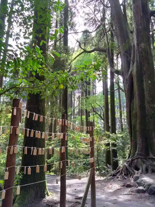 山神社(鹿児島県)