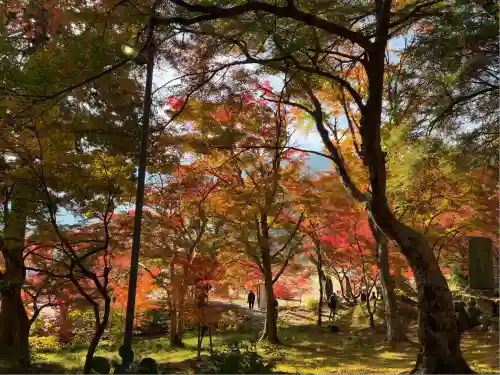 円通寺(兵庫県)