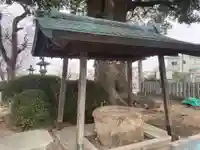 天目一神社(徳島県)