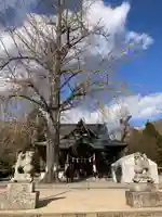 賀羅加波神社(広島県)