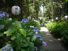 磯山神社の自然