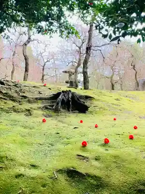 城南宮のその他建物