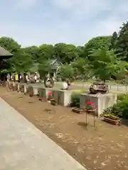 茂林寺の建物その他