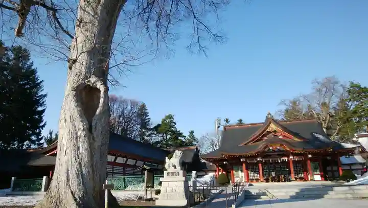北海道護國神社の本殿・本堂