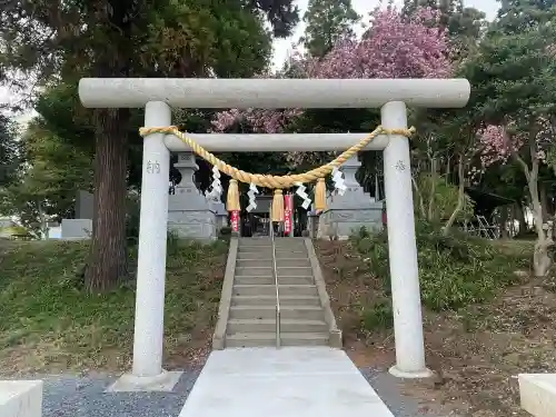 台渡里八幡神社(茨城県)