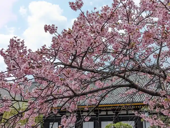 蓮華王院(三十三間堂)(京都府)