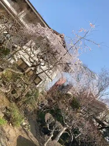 洞林寺(宮城県)