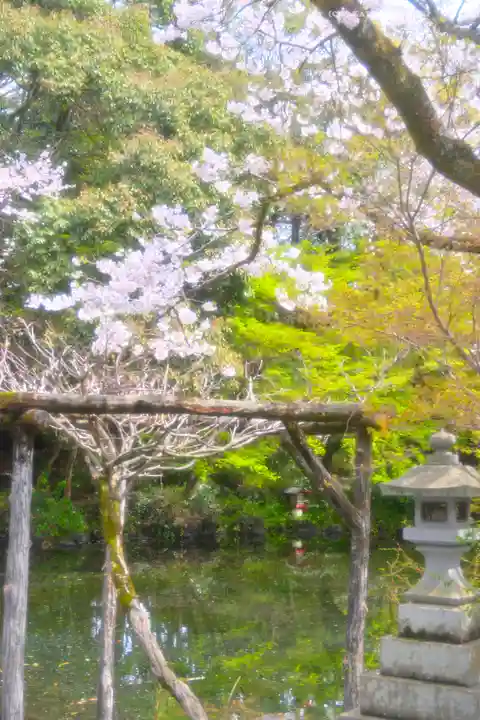 富士山本宮浅間大社(静岡県)