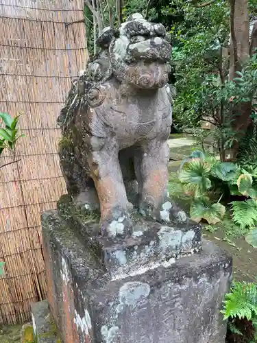 江島神社の狛犬