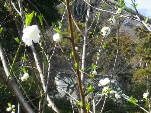 御霊神社の自然