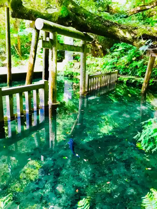 鹿島神宮(茨城県)