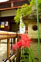 高幡不動尊 金剛寺(東京都)