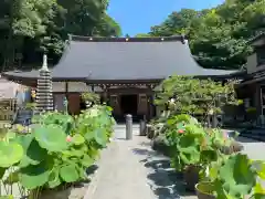 妙圓寺(神奈川県)