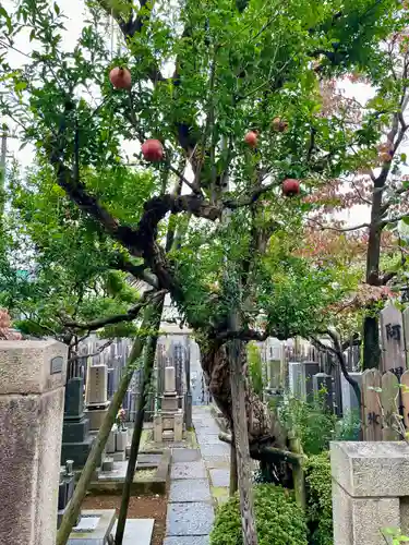 長安寺(東京都)