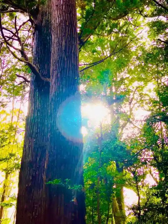 香取神宮奥宮(千葉県)